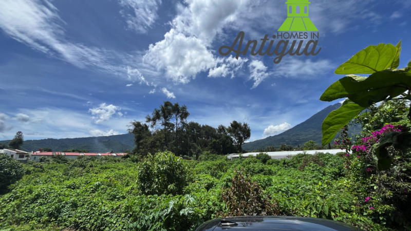 T067 00004 T067 00004