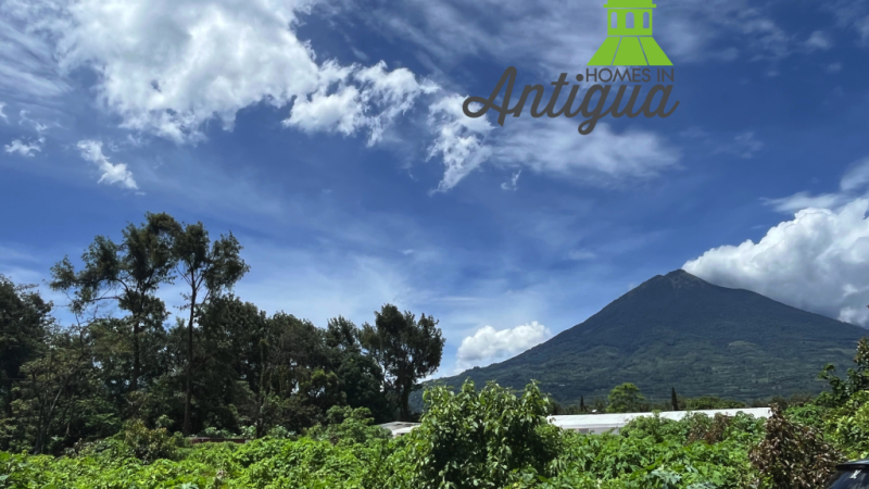 T067 00005 T067 00005