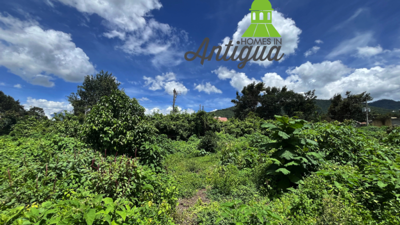 T067 00007 T067 00007