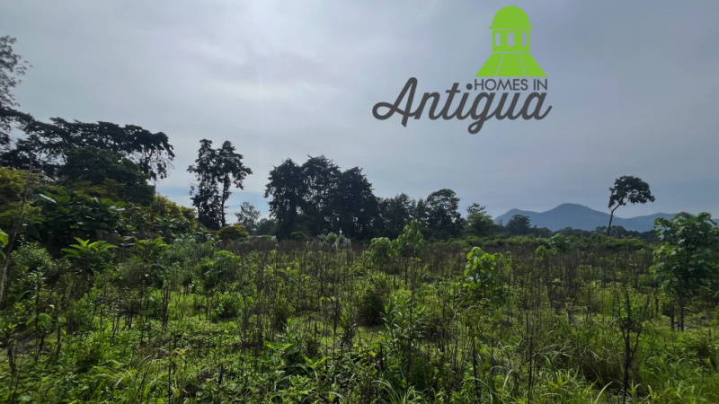 T078 00002 T078 00002