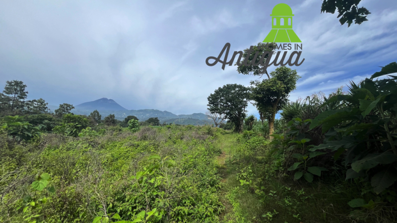 T078 00003 T078 00003