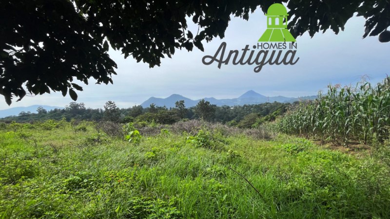 T078 00005 T078 00005