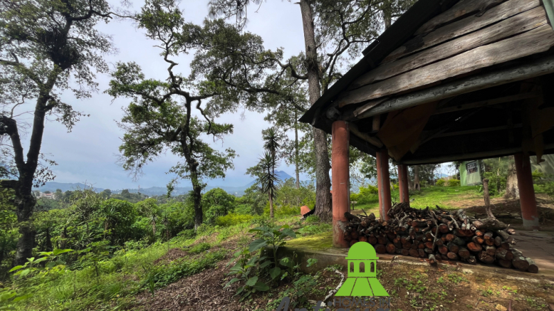 T078 00006 T078 00006