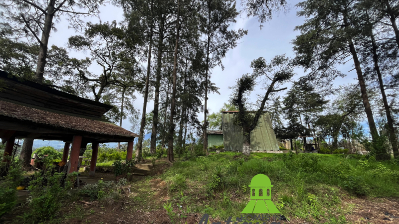 T078 00007 T078 00007