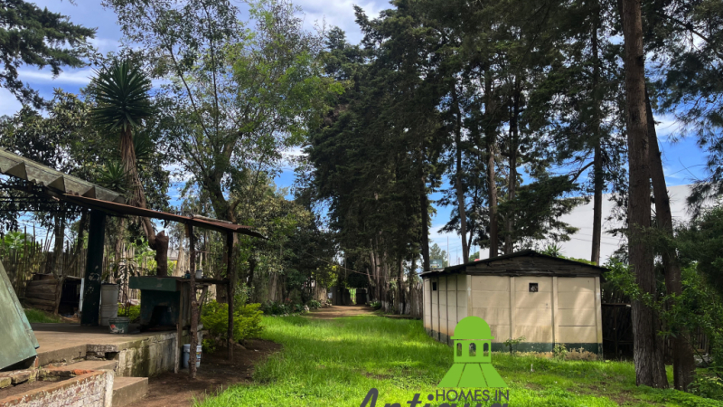 T078 00008 T078 00008