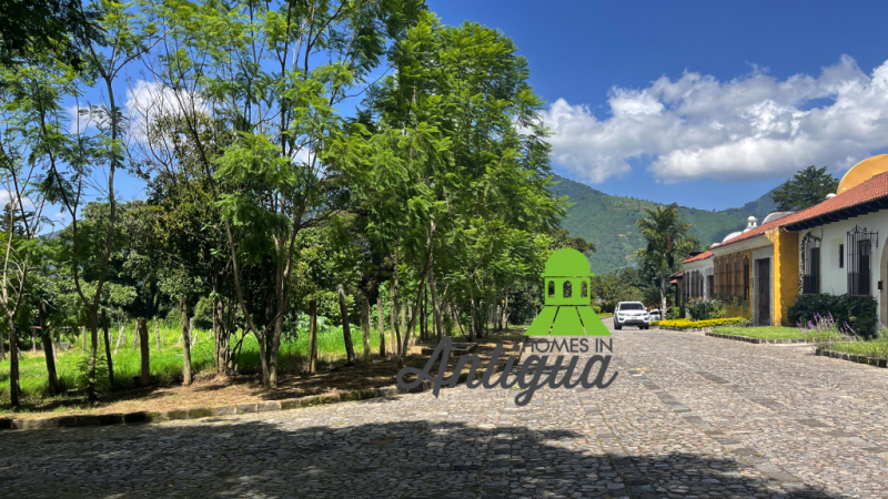 T079 00003 T079 00003