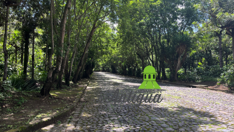 T079 00004 T079 00004