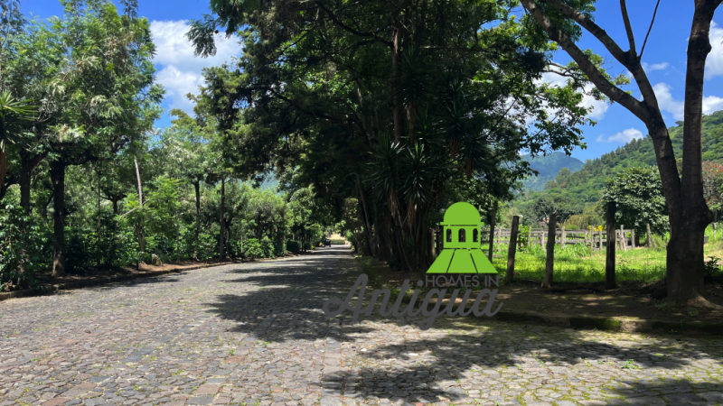 T079 00005 T079 00005