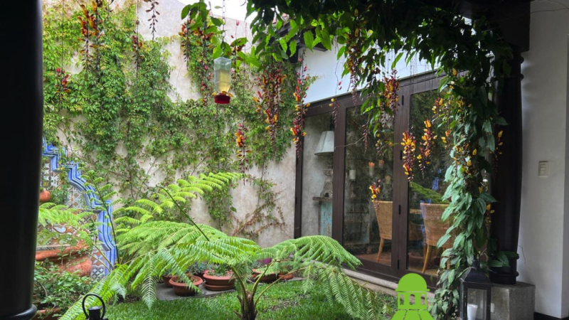 VS096 00006 VS096 00006